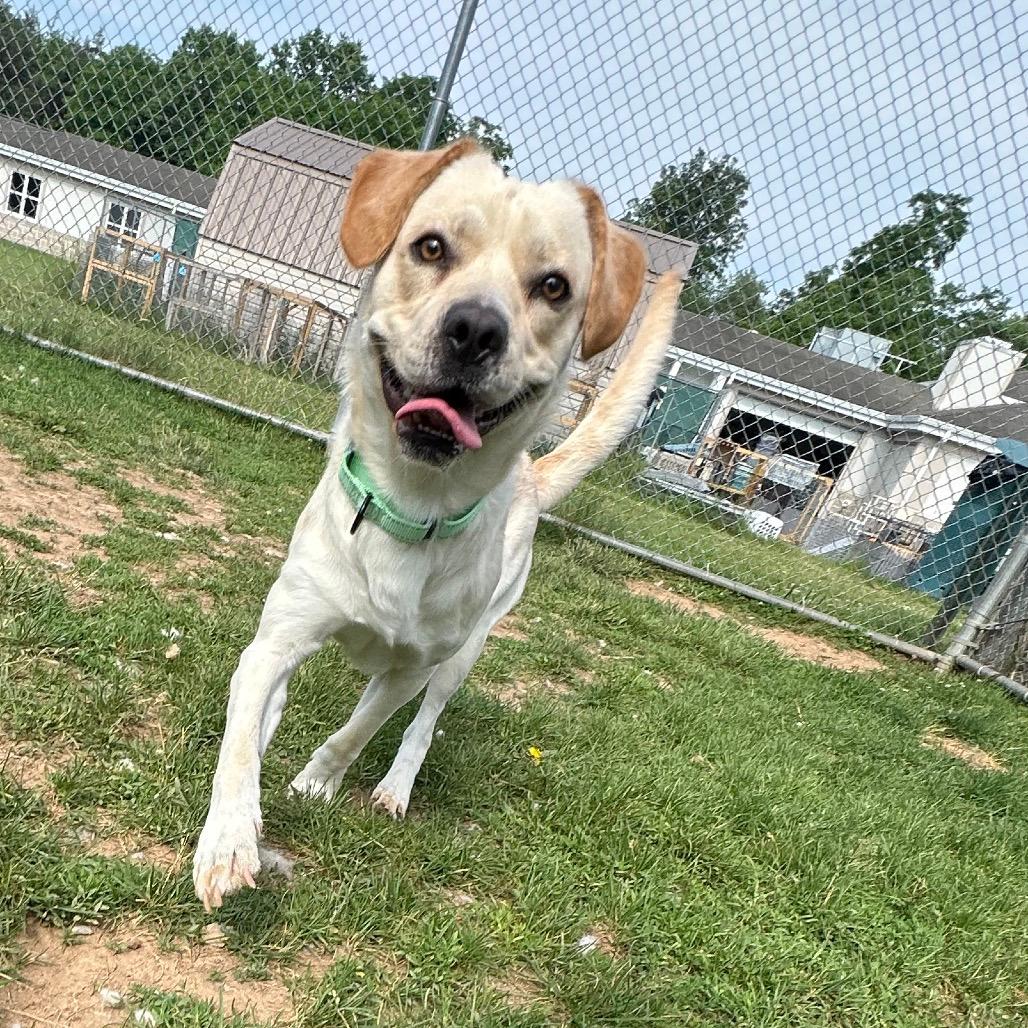 Tobi