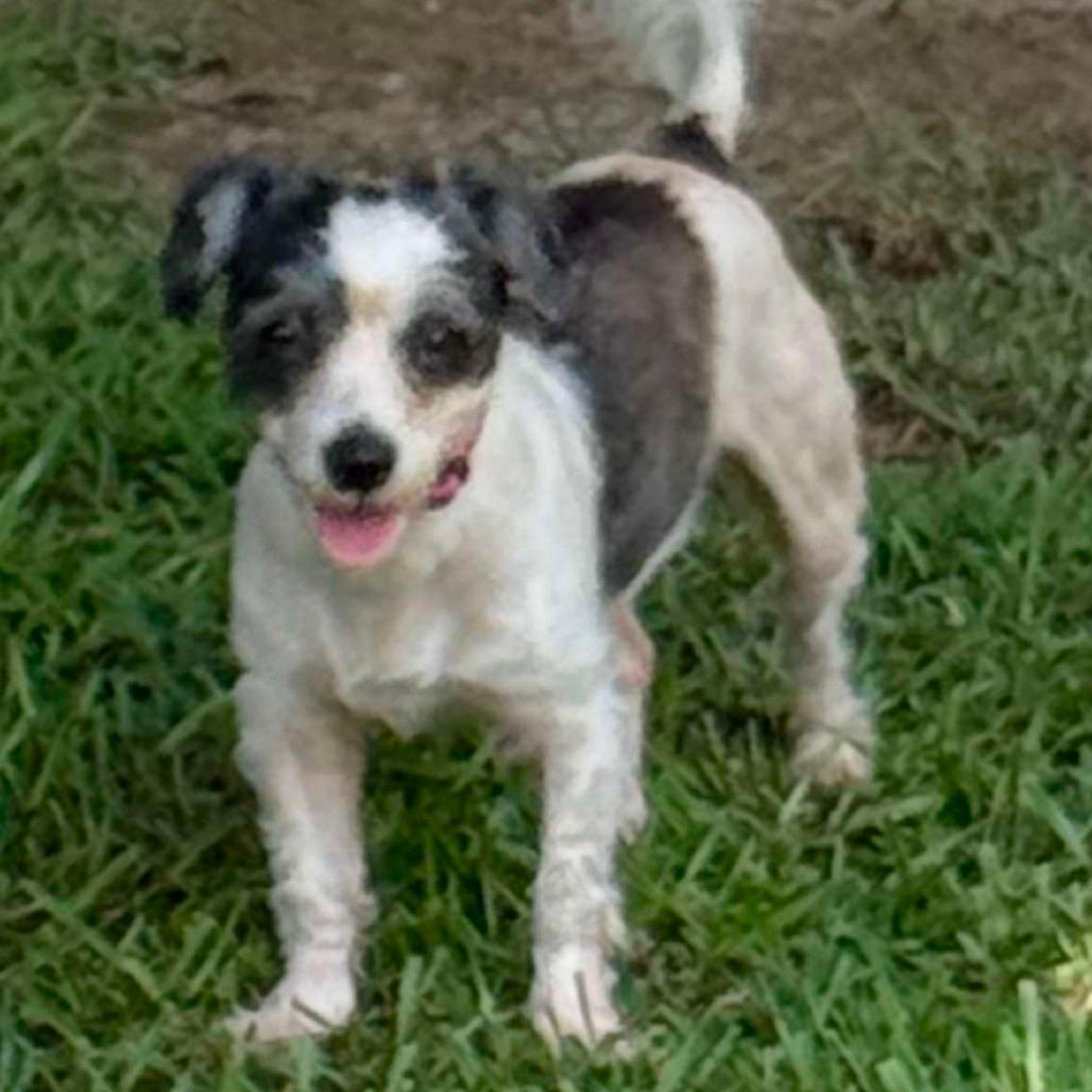 Picture of Libby
