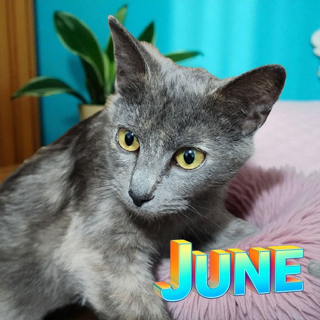 June