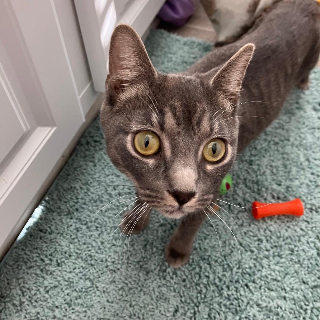 Matilda
