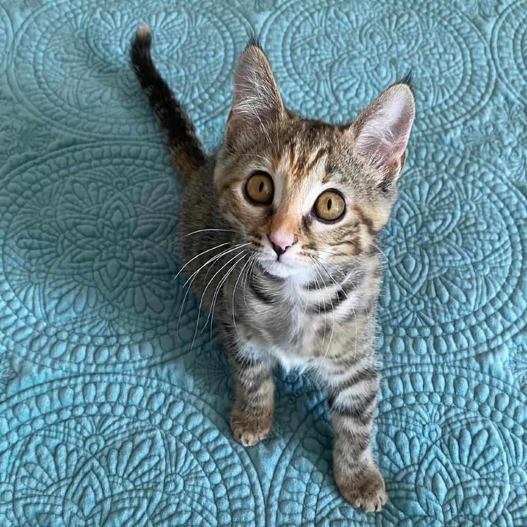 Lucy