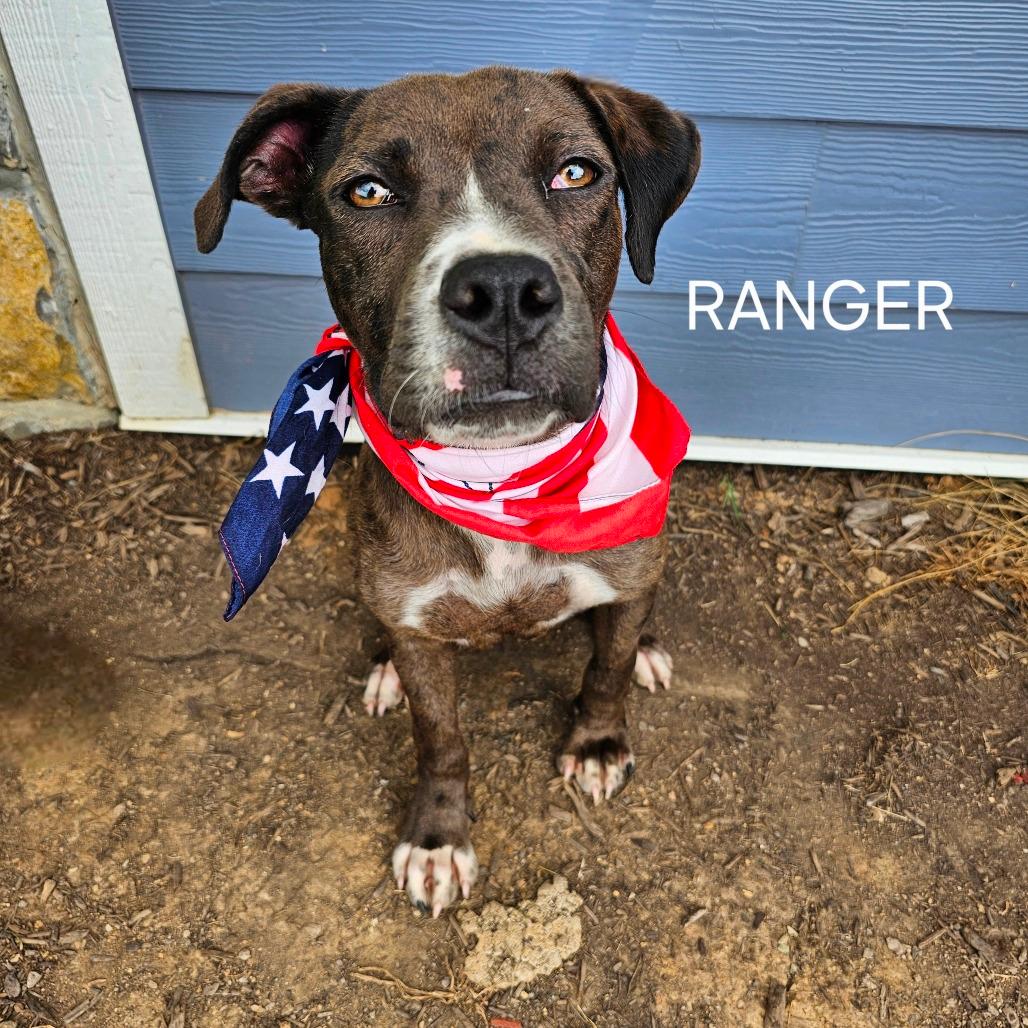 Ranger