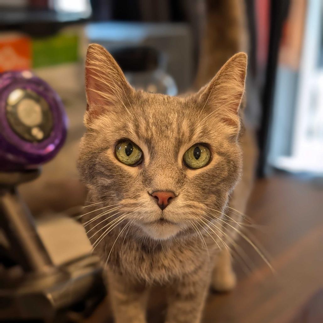 Linus