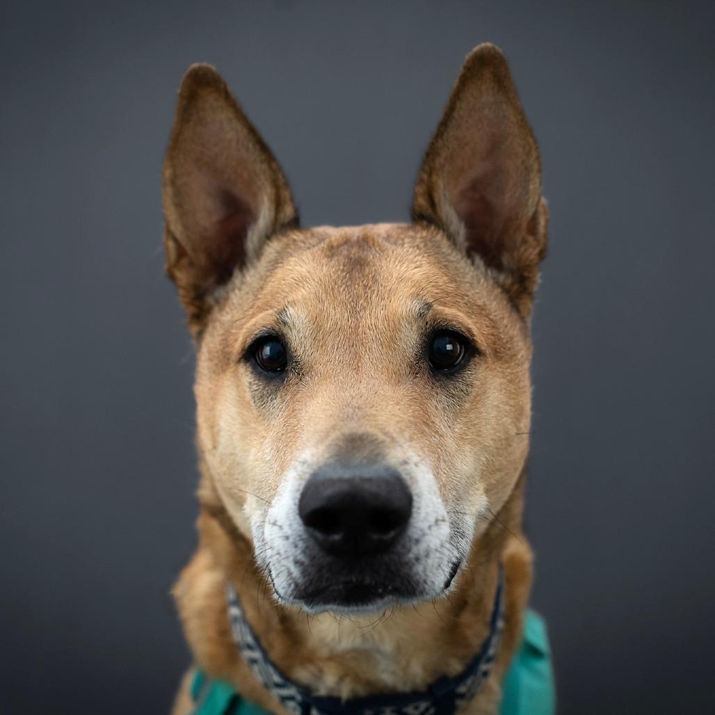Bobby