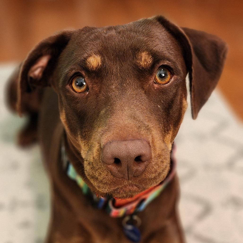 Picture of Mali
