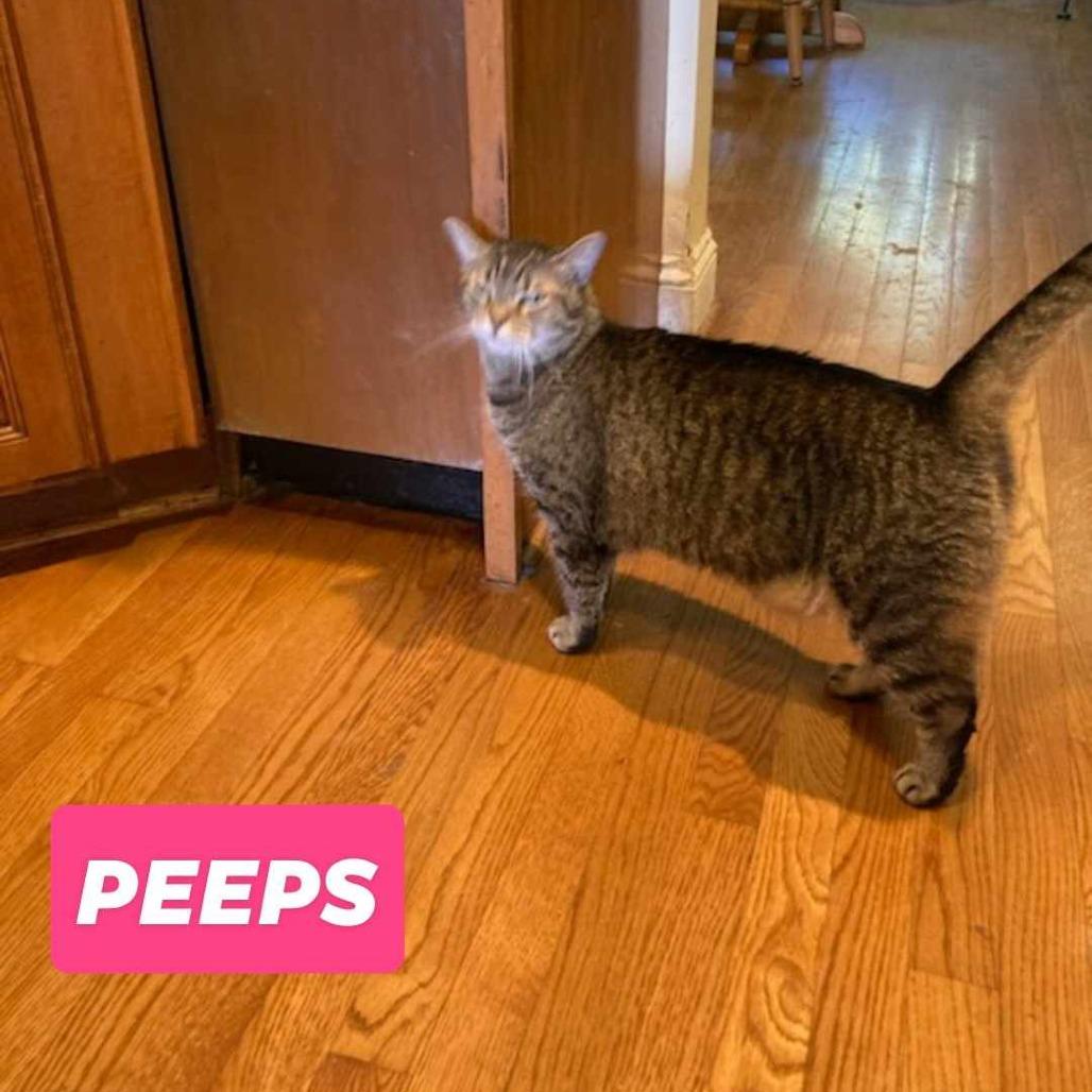 Peeps