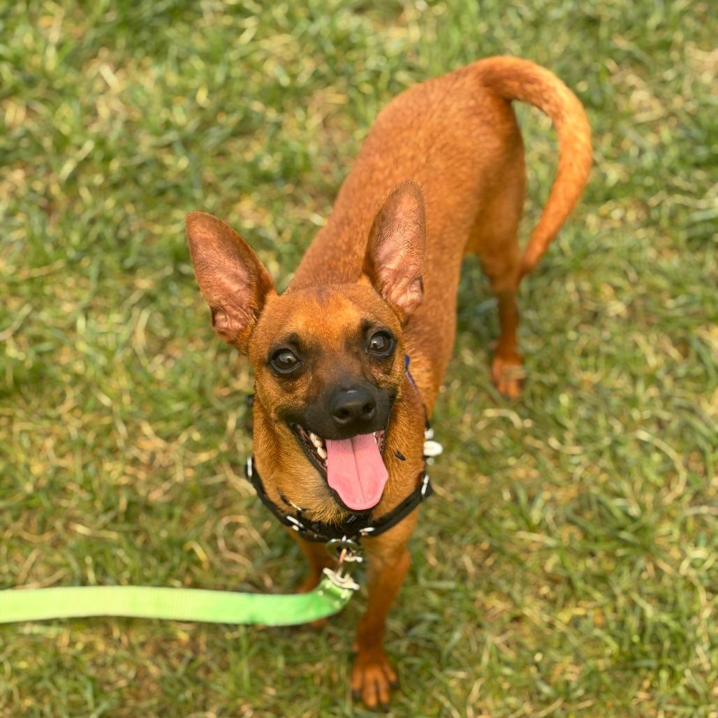 Picture of Max