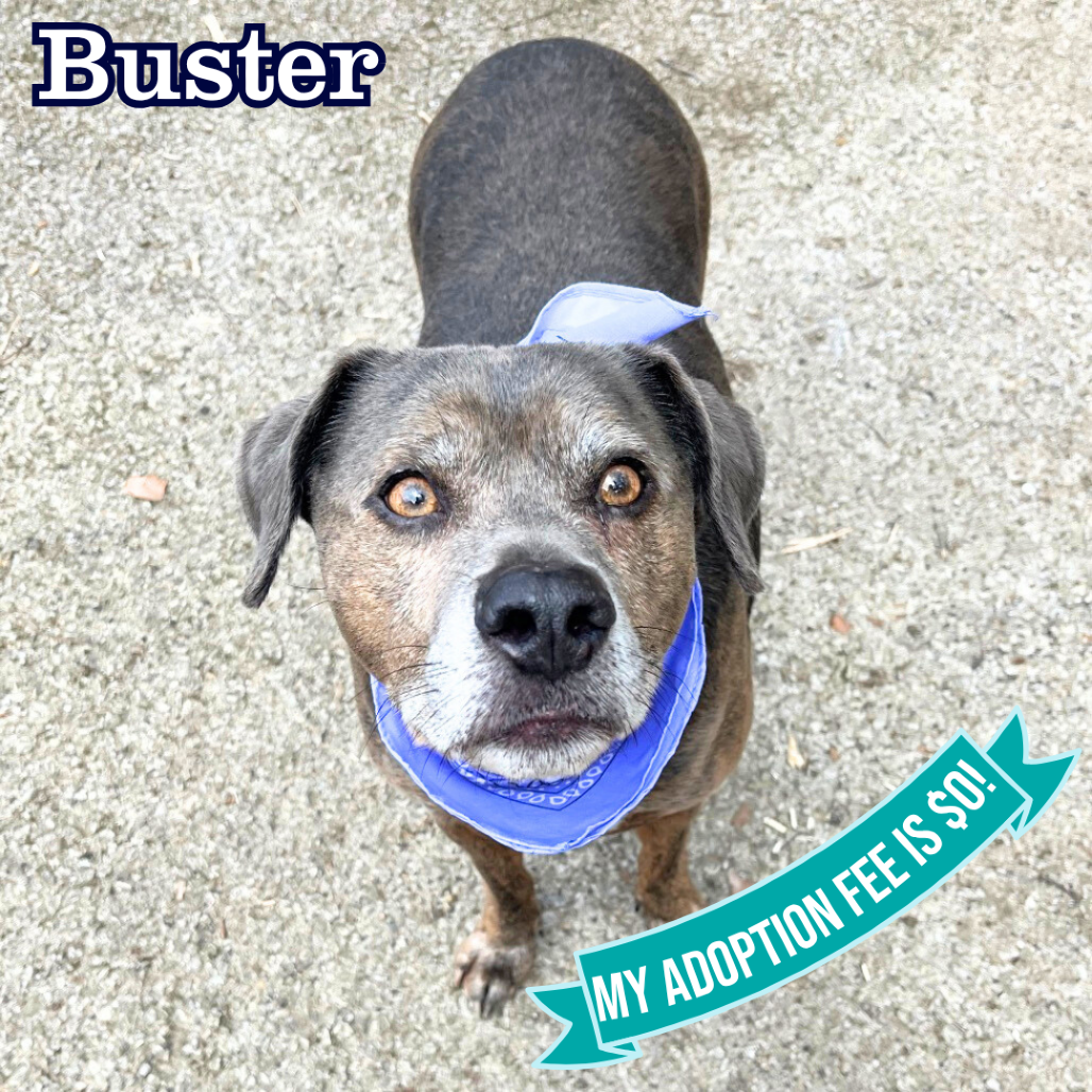 Buster 