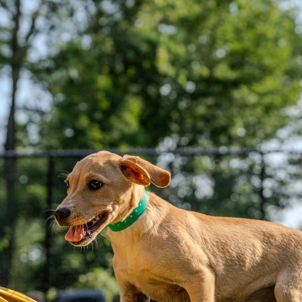 Picture of Winnie 