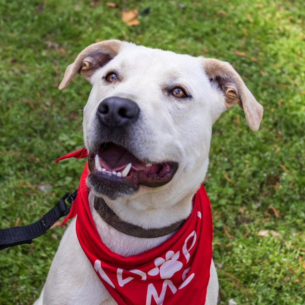 Bruce (In Foster)