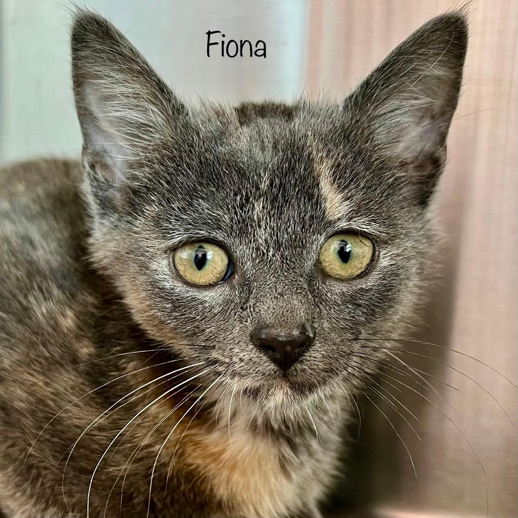 Fiona