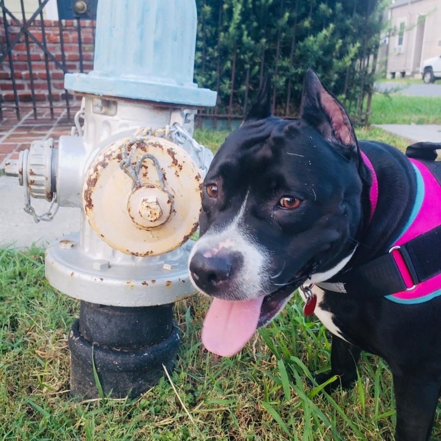 Mary (Reduced Rover)