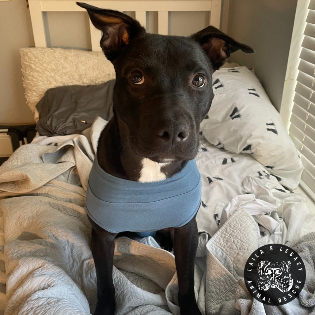 Tux