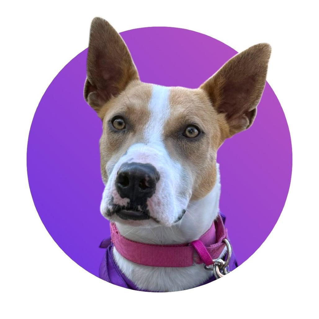 Sadie