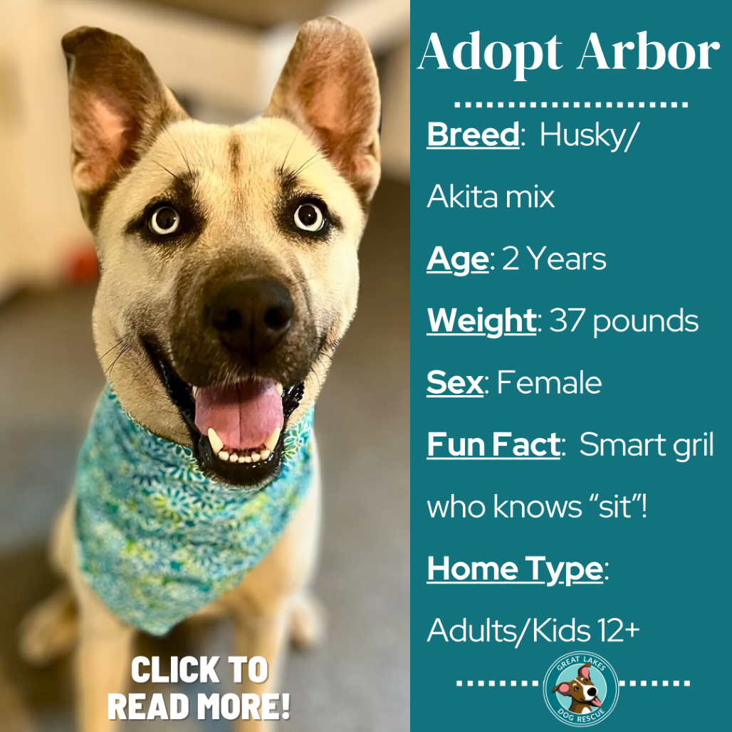 Picture of Arbor