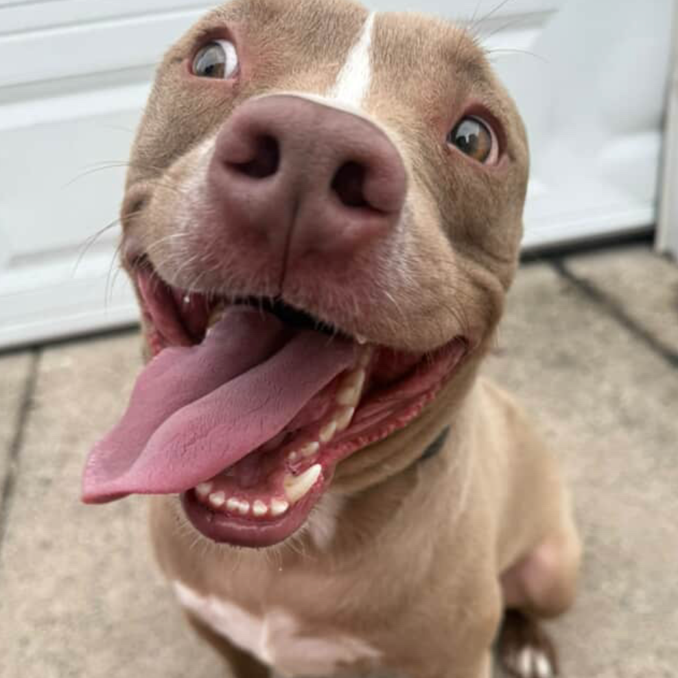 Benny