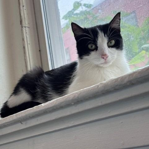 Penelope, Princess Penelope