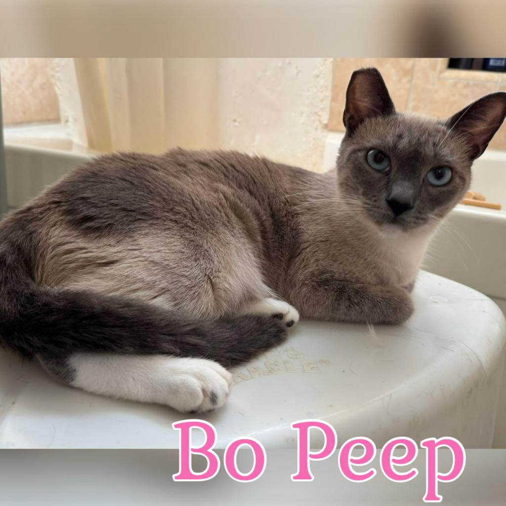 Bo Peep