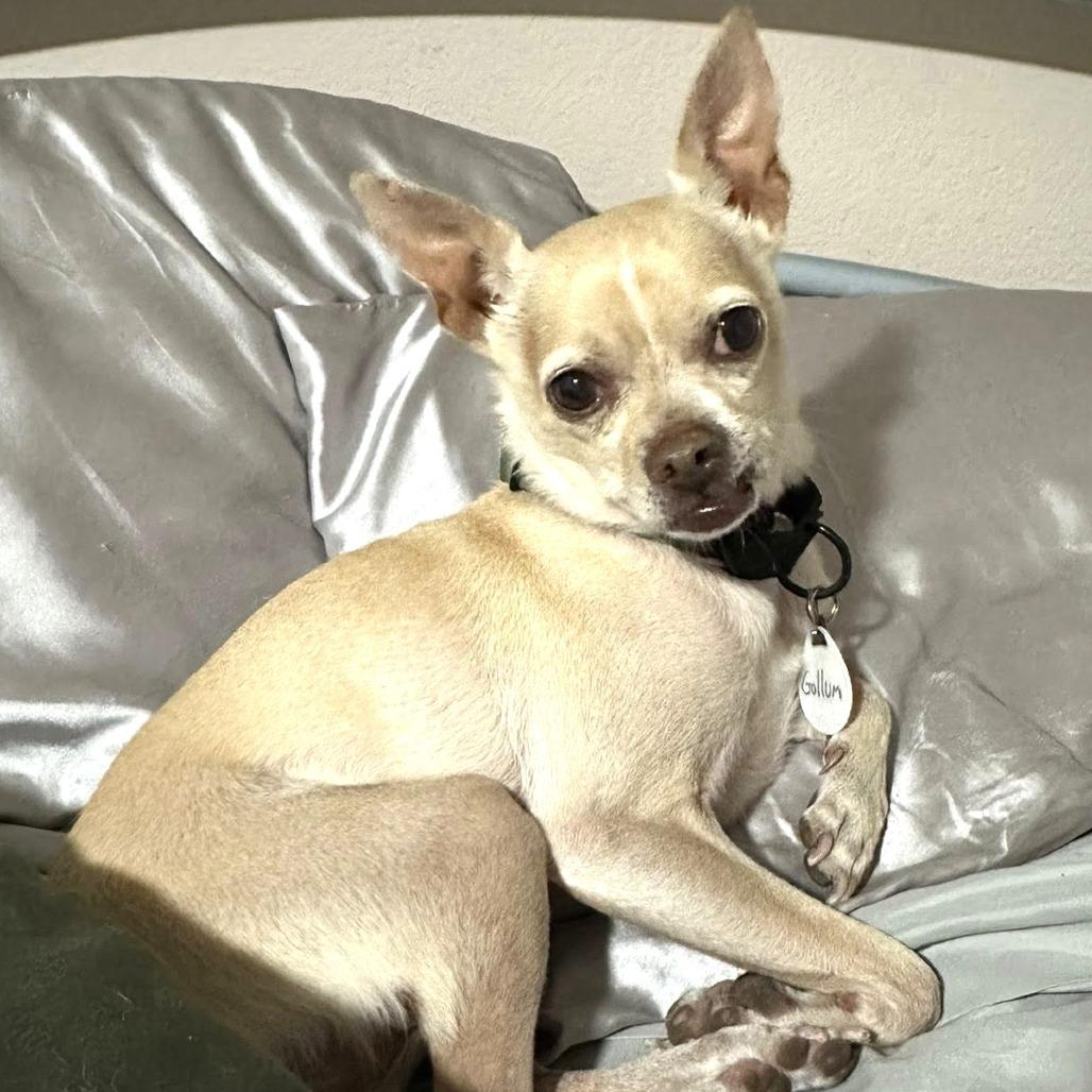 Gollum