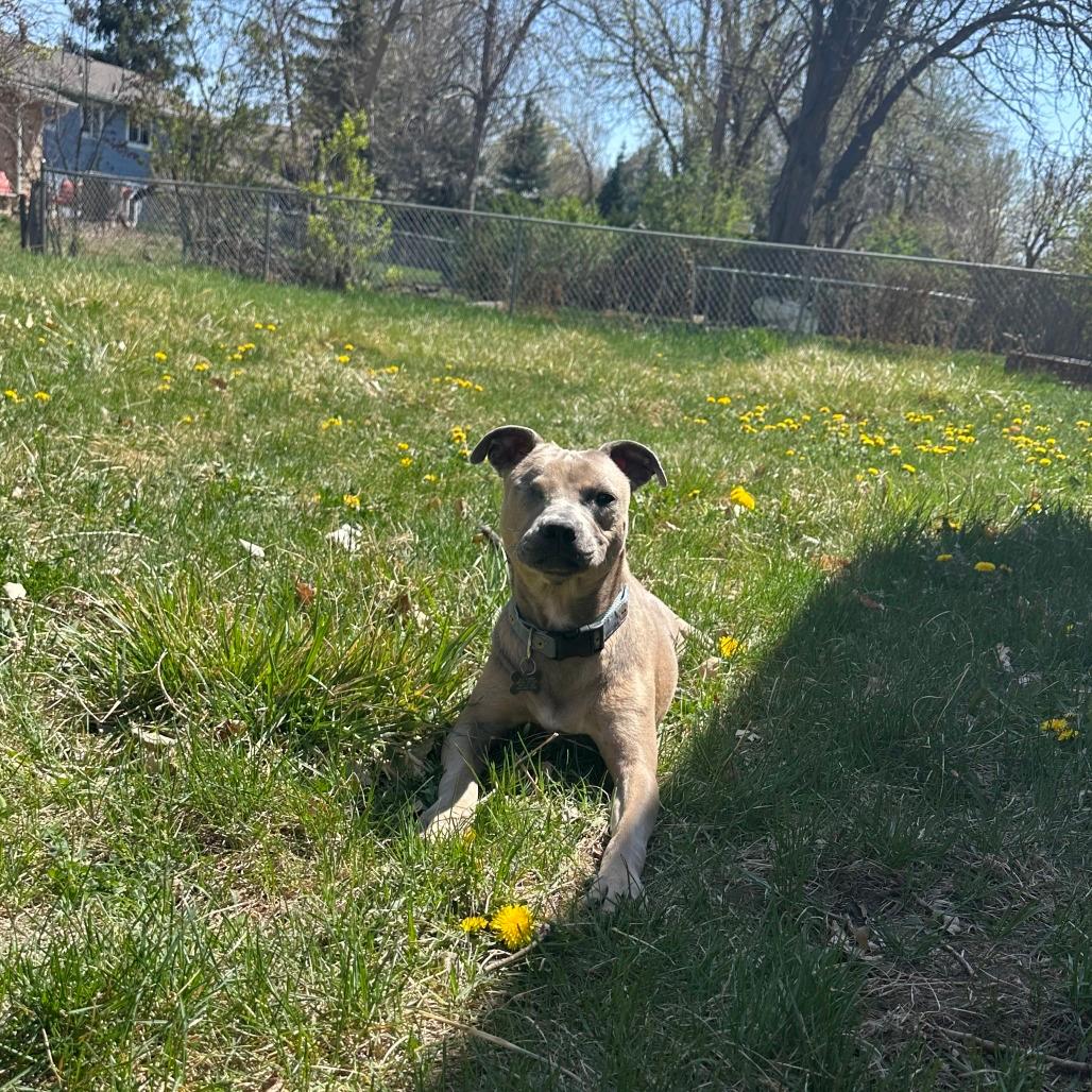 Nelly