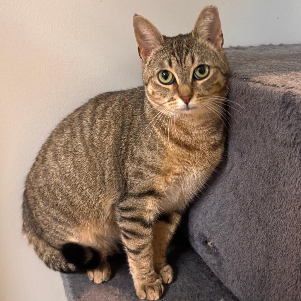 Christmas Chili (Bonded with Miss Krampus)