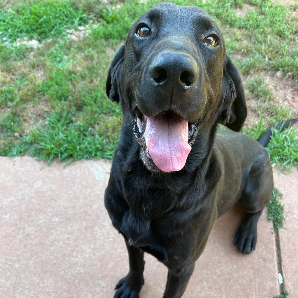 Picture of Jackson