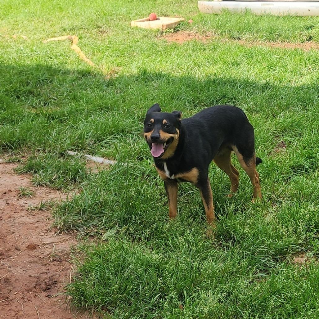 Ryder