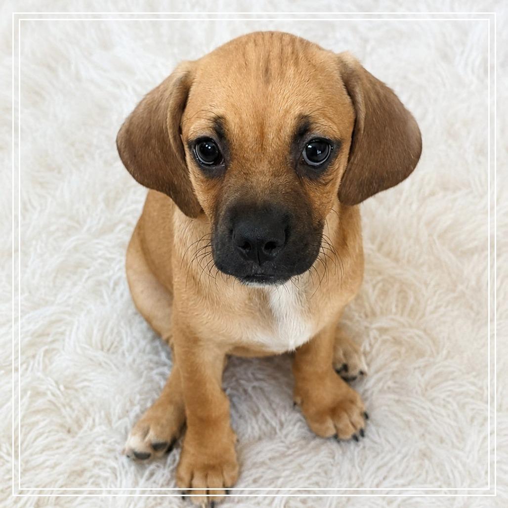 Eleanor