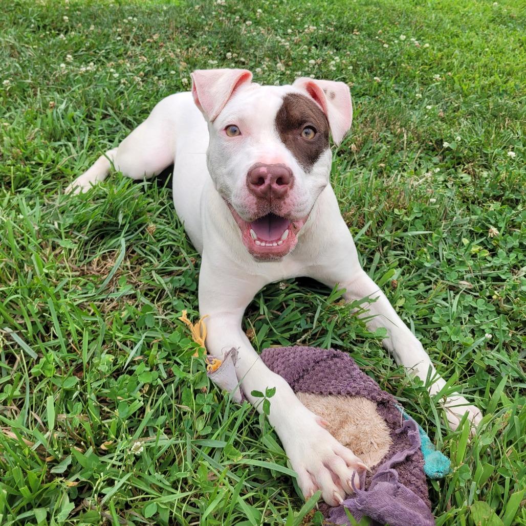 Bonnie