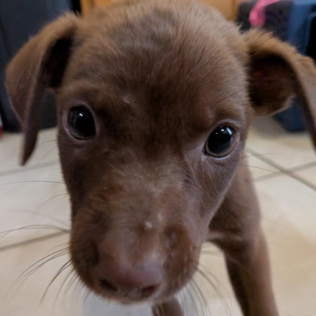 Tiny