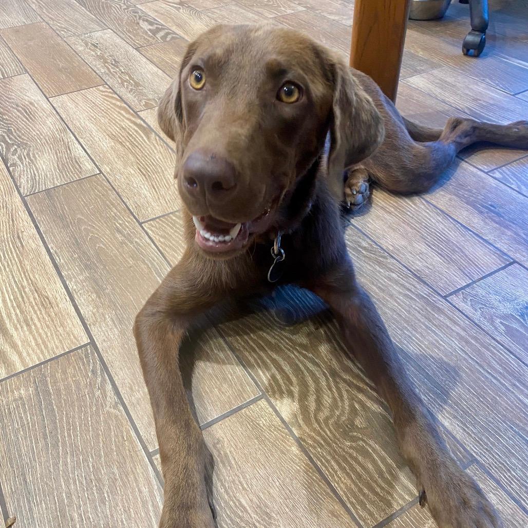Roscoe