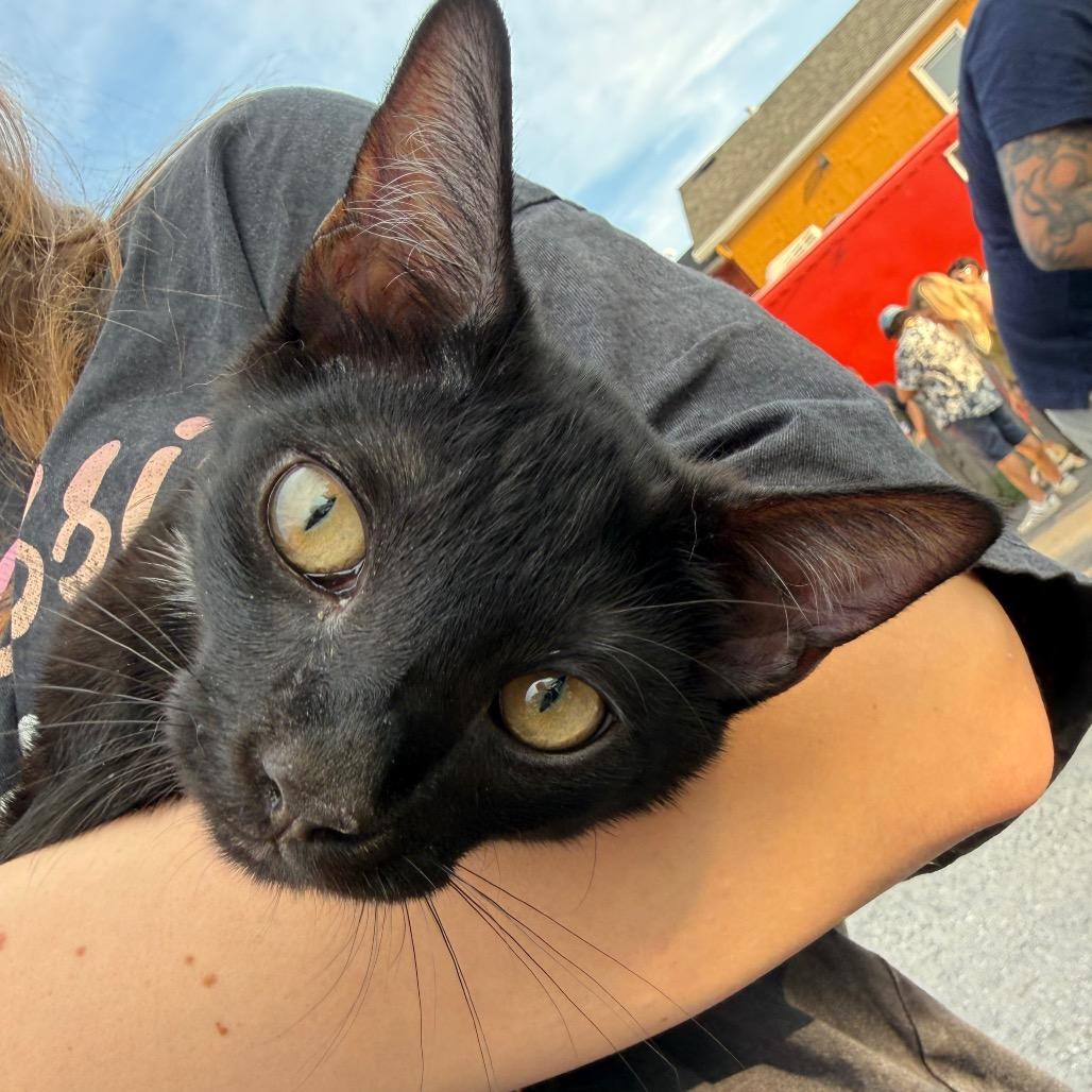 Ned-4mo-$75