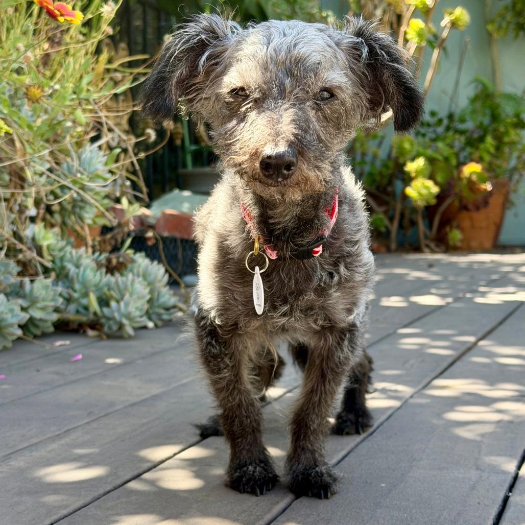 Doris