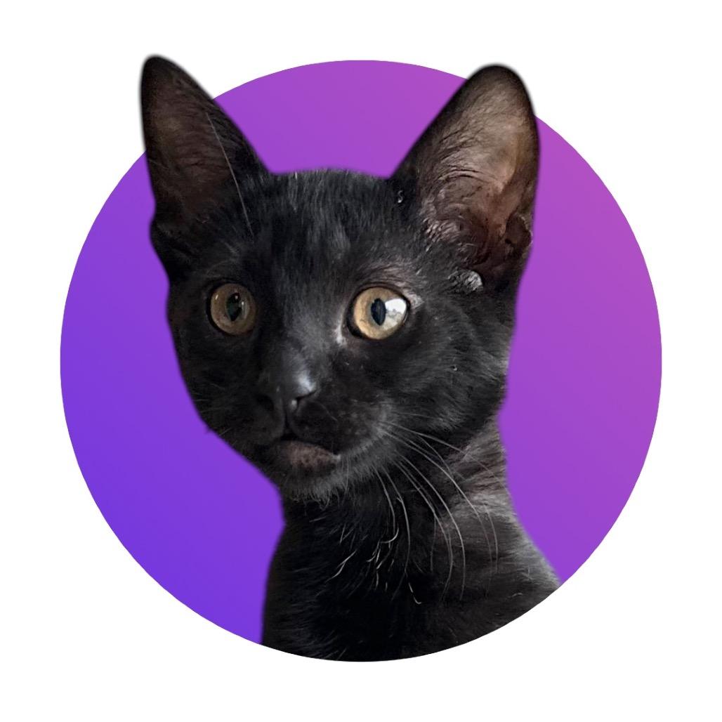 Pippin
