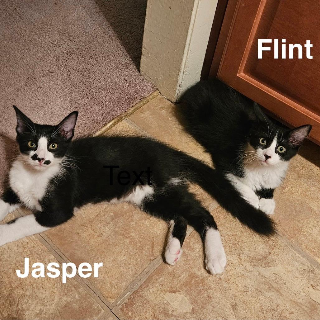 Flint