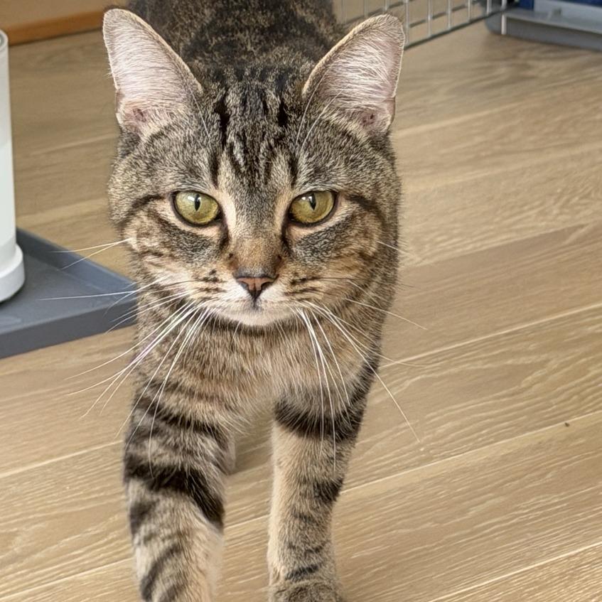 Max