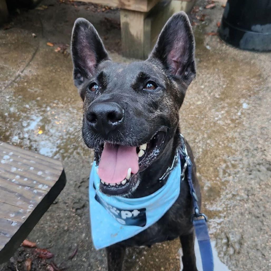Leila (Reduced Rover)