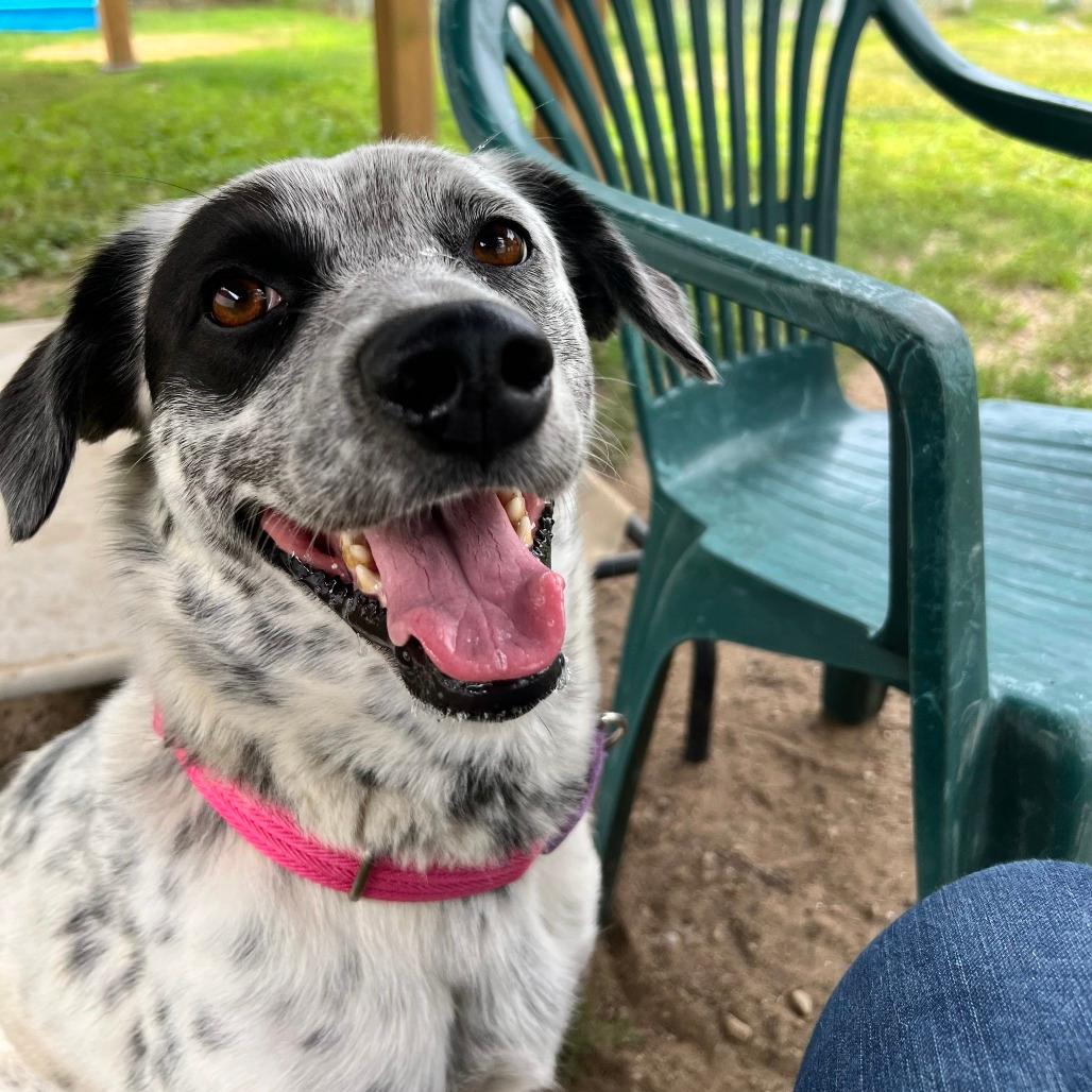 Rosie