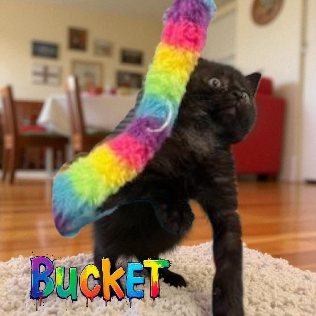 Bucket
