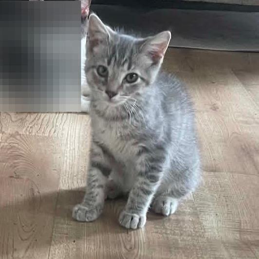 Milo