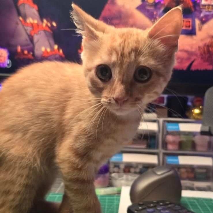 Oliver