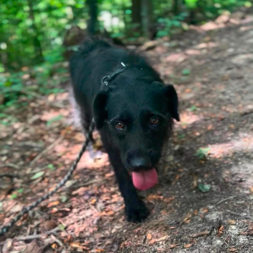 Maggie