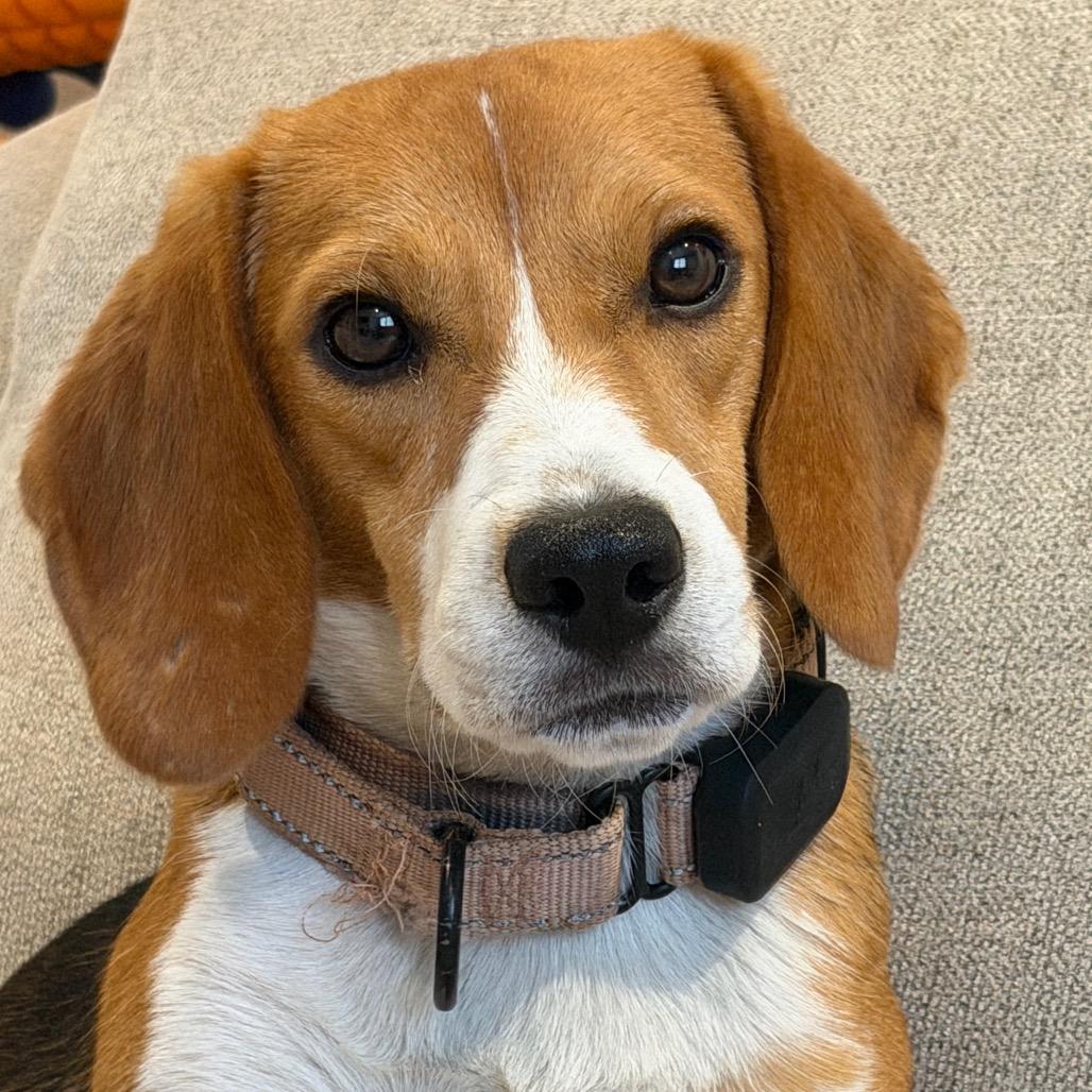Pete