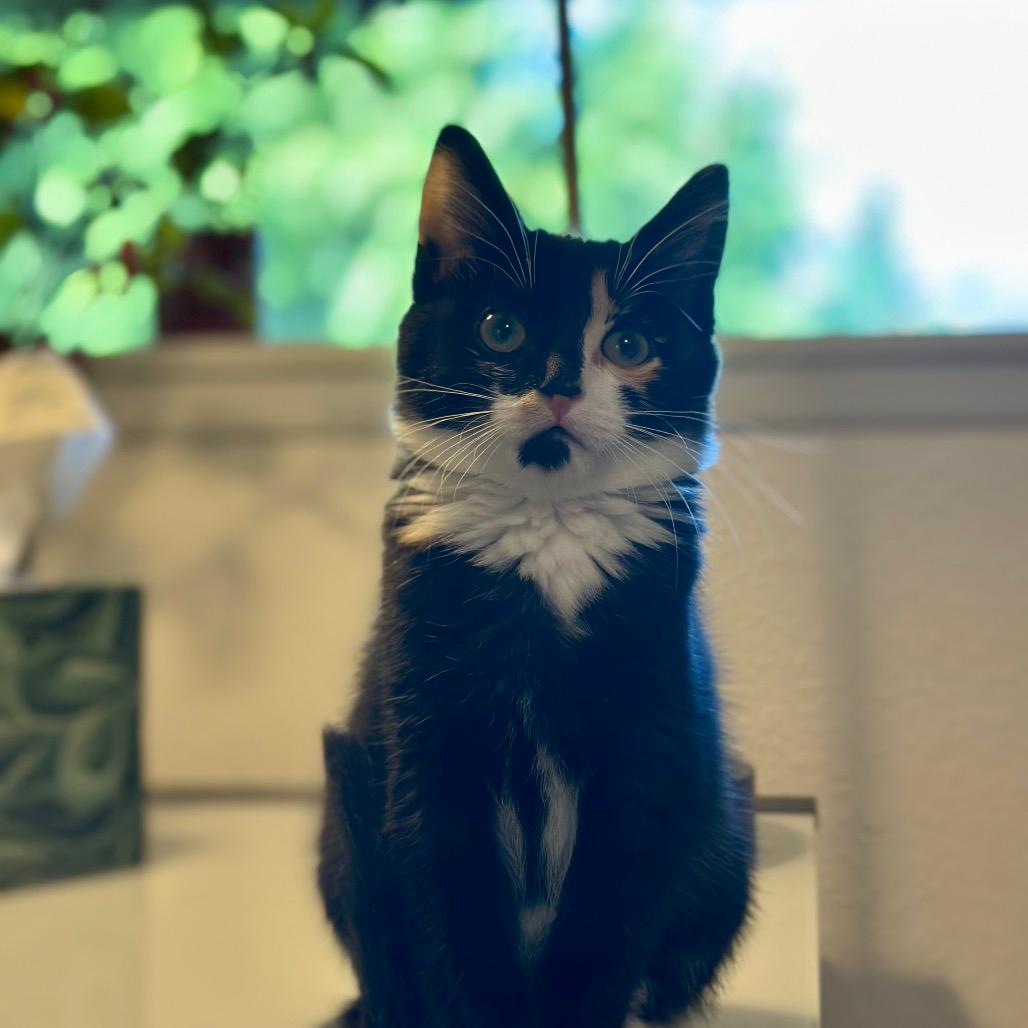 Cali