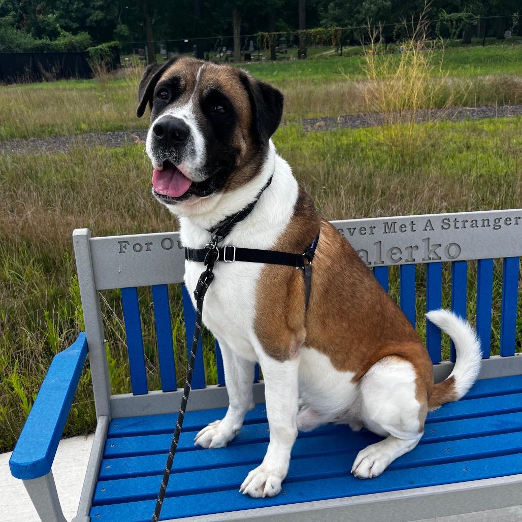 Roscoe