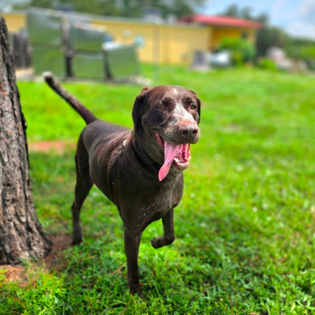 Bella