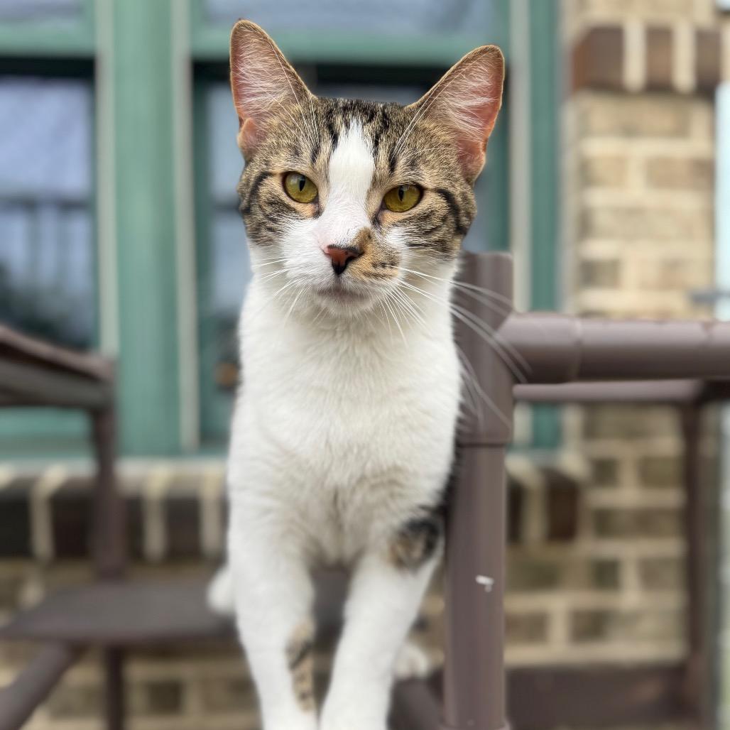 Gus