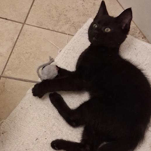 Luna (and Lalo)