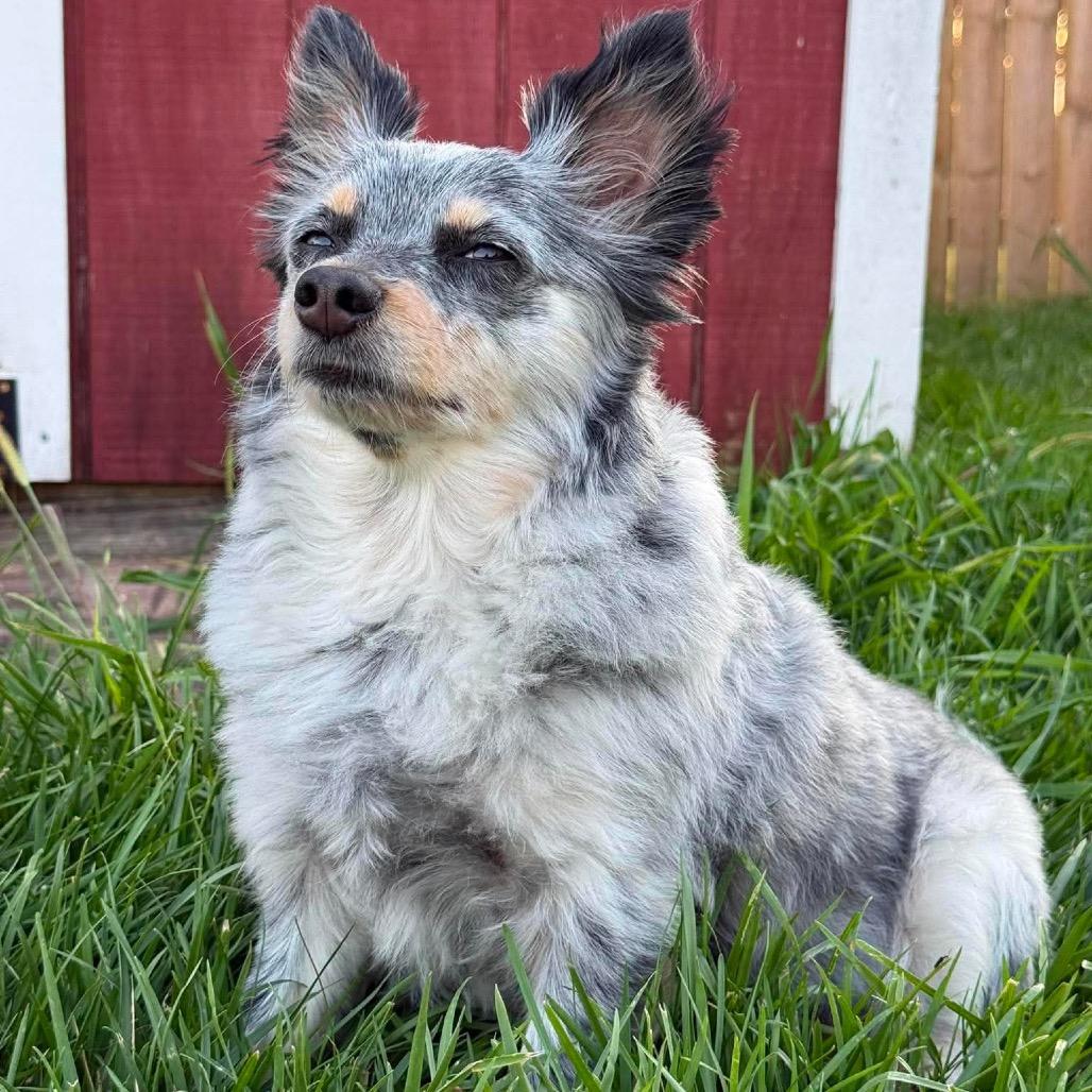 Bilbo