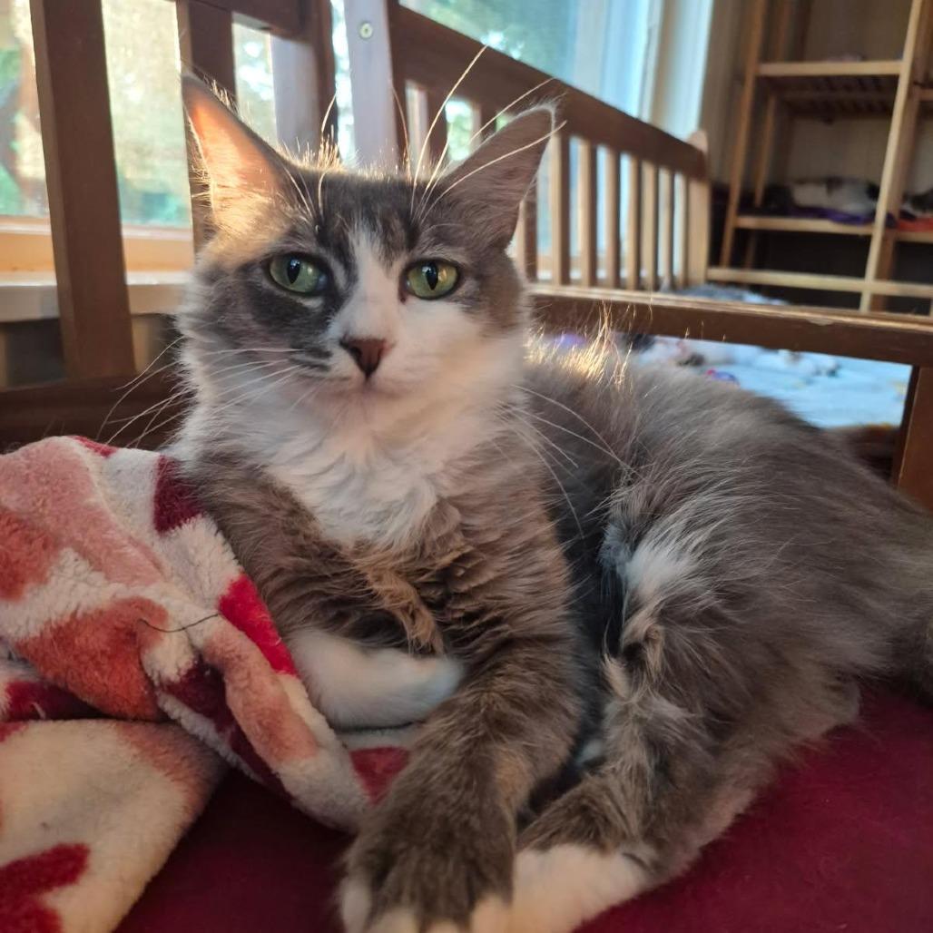 Micah